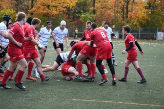 copie_de_dsc_1895.jpg - JPEG - 646.3 ko - 2000×1333 px