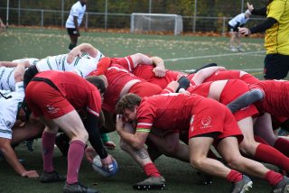 copie_de_dsc_1953.jpg - JPEG - 404.3 ko - 2000×1333 px