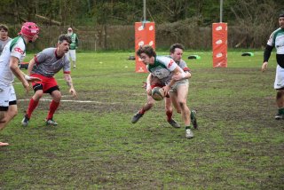 copie_de_dsc_4803.jpg - JPEG - 692.4 ko - 2000×1333 px