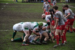 copie_de_dsc_4913.jpg - JPEG - 527.1 ko - 2000×1333 px