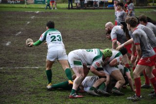 copie_de_dsc_4914.jpg - JPEG - 517.7 ko - 2000×1333 px