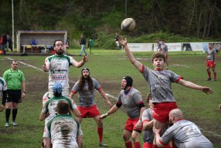 copie_de_dsc_4962.jpg - JPEG - 410.6 ko - 2000×1333 px