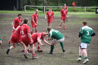 copie_de_dsc_5280.jpg - JPEG - 484.8 ko - 2000×1333 px