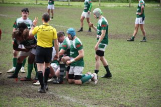 copie_de_dsc_5287.jpg - JPEG - 633.9 ko - 2000×1333 px