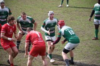 copie_de_dsc_5305.jpg - JPEG - 738.9 ko - 2000×1333 px