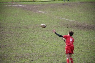 copie_de_dsc_5309.jpg - JPEG - 635.6 ko - 2000×1333 px