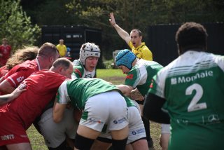 copie_de_dsc_5334.jpg - JPEG - 308.3 ko - 2000×1333 px