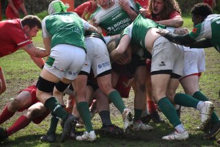 copie_de_dsc_5336.jpg - JPEG - 460.1 ko - 2000×1333 px