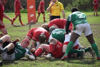 copie_de_dsc_5339.jpg - JPEG - 549.6 ko - 2000×1333 px