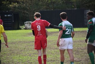 copie_de_dsc_5343.jpg - JPEG - 374.5 ko - 2000×1333 px