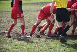 copie_de_dsc_5355.jpg - JPEG - 623.3 ko - 2000×1333 px