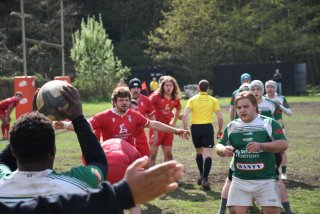 copie_de_dsc_5388.jpg - JPEG - 350.8 ko - 2000×1333 px