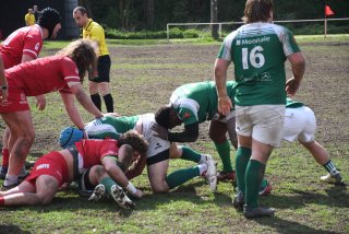 copie_de_dsc_5397.jpg - JPEG - 567.8 ko - 2000×1333 px