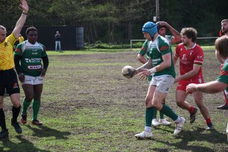 copie_de_dsc_5405.jpg - JPEG - 664.5 ko - 2000×1333 px