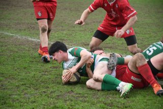 copie_de_dsc_5497.jpg - JPEG - 452.7 ko - 2000×1333 px