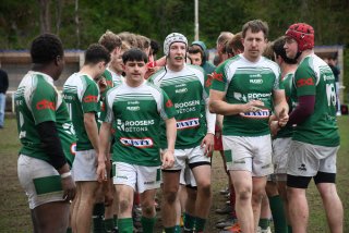 copie_de_dsc_5583.jpg - JPEG - 438.1 ko - 2000×1333 px