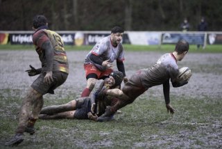 dsc02398-modifier.jpg - JPEG - 376.7 ko - 2000×1333 px