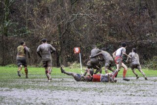 dsc02620-avec_accentuation-bruit.jpg - JPEG - 579.3 ko - 2000×1334 px