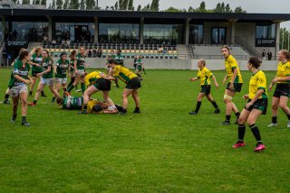 dsc02762-2.jpg - JPEG - 645.2 ko - 2000×1333 px