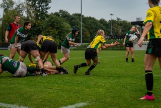 dsc02769.jpg - JPEG - 525.2 ko - 2000×1333 px