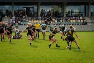 dsc03242.jpg - JPEG - 701.4 ko - 2000×1333 px