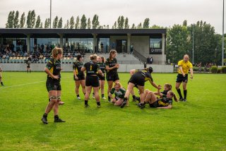 dsc03267.jpg - JPEG - 707.5 ko - 2000×1333 px