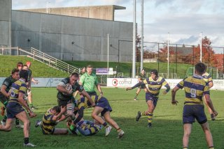 dsc08102.jpg - JPEG - 308.5 ko - 1500×1000 px