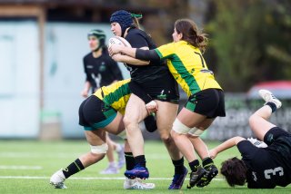 dsc_0012-6.jpg - JPEG - 337.9 ko - 2000×1335 px