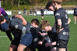 dsc_1434.jpg - JPEG - 367.8 ko - 2000×1333 px