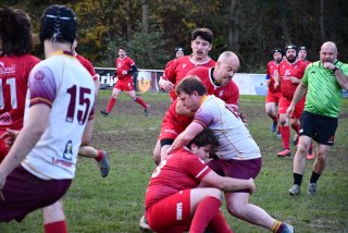 dsc_2133-4.jpg - JPEG - 475.6 ko - 2000×1333 px