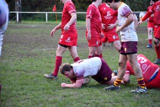 dsc_2134-3.jpg - JPEG - 606.9 ko - 2000×1325 px