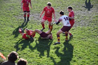 dsc_2256-3.jpg - JPEG - 461.6 ko - 2000×1325 px