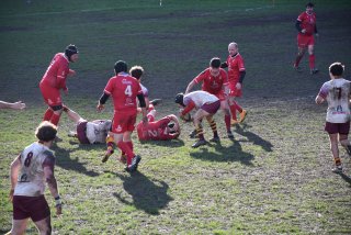 dsc_2264.jpg - JPEG - 626.4 ko - 2000×1333 px