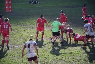 dsc_2265.jpg - JPEG - 583.3 ko - 2000×1325 px