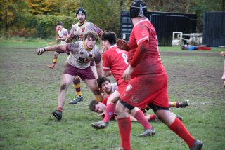 dsc_2479-3.jpg - JPEG - 399.8 ko - 2000×1333 px