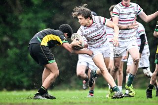 dsc_2505-3.jpg - JPEG - 432.4 ko - 2000×1336 px