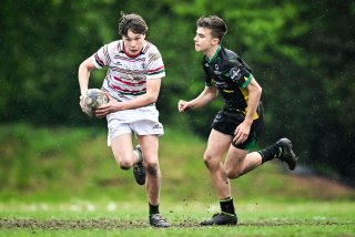 dsc_2510-3.jpg - JPEG - 375.4 ko - 2000×1332 px