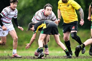 dsc_2535-4.jpg - JPEG - 463.6 ko - 2000×1334 px