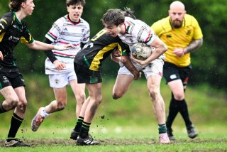 dsc_2540-2.jpg - JPEG - 411.9 ko - 2000×1332 px