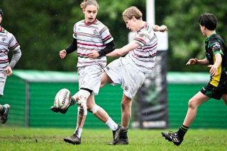 dsc_2547-4.jpg - JPEG - 405.5 ko - 2000×1334 px