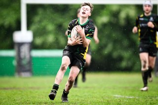 dsc_2548-4.jpg - JPEG - 323 ko - 2000×1332 px