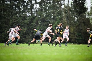 dsc_2558-4.jpg - JPEG - 447 ko - 2000×1333 px