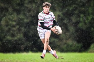 dsc_2564-3.jpg - JPEG - 349.7 ko - 2000×1334 px