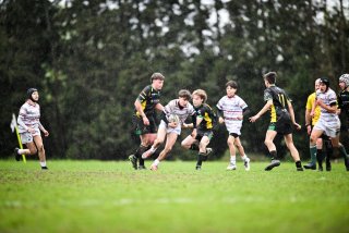 dsc_2569-6.jpg - JPEG - 421.3 ko - 2000×1333 px