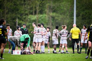 dsc_2597-7.jpg - JPEG - 515.7 ko - 2000×1333 px