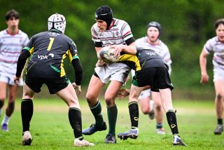 dsc_2609-4.jpg - JPEG - 389.2 ko - 2000×1335 px