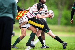 dsc_2614-2.jpg - JPEG - 391.2 ko - 2000×1333 px