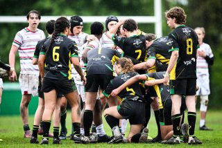 dsc_2623-4.jpg - JPEG - 487.1 ko - 2000×1333 px