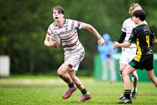 dsc_2629-3.jpg - JPEG - 360.7 ko - 2000×1333 px