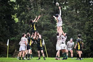 dsc_2640-3.jpg - JPEG - 561.2 ko - 2000×1333 px